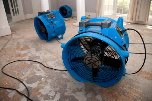 Best Water damage contractors near me  in Bend, OR